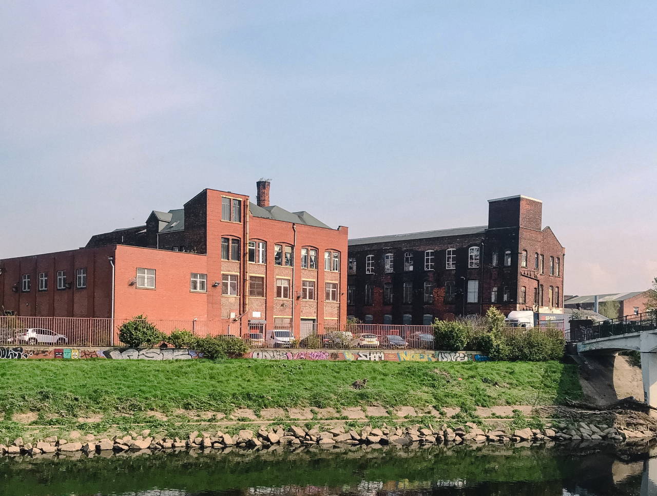 /s/files/1/0042/4266/9632/files/Rectangle_Copy_22_8b72ad5f-7d6e-4263-aeb5-901d8a5c2ee9.jpg?v=1625229762